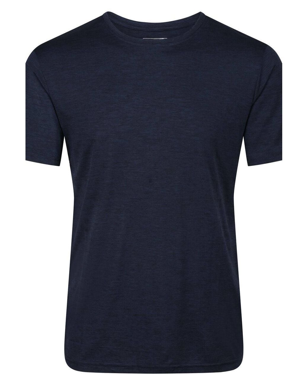 Regatta Blue Fingal Edition Short Sleeved Marl T-Shirt for men