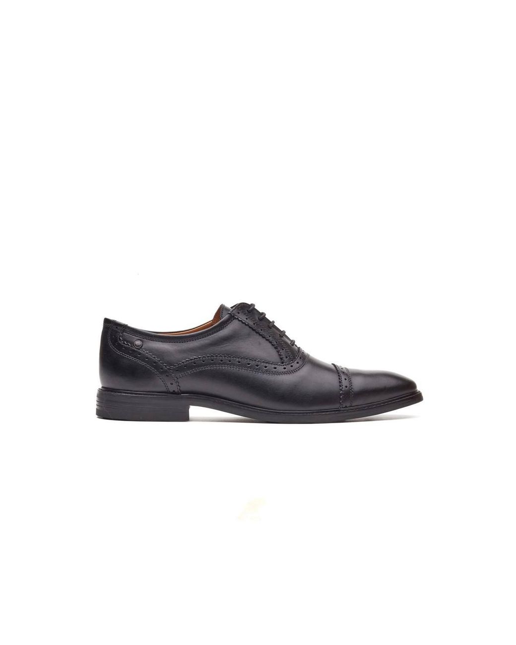 Base London Black Ascot Toe Cap Oxford Shoe for men
