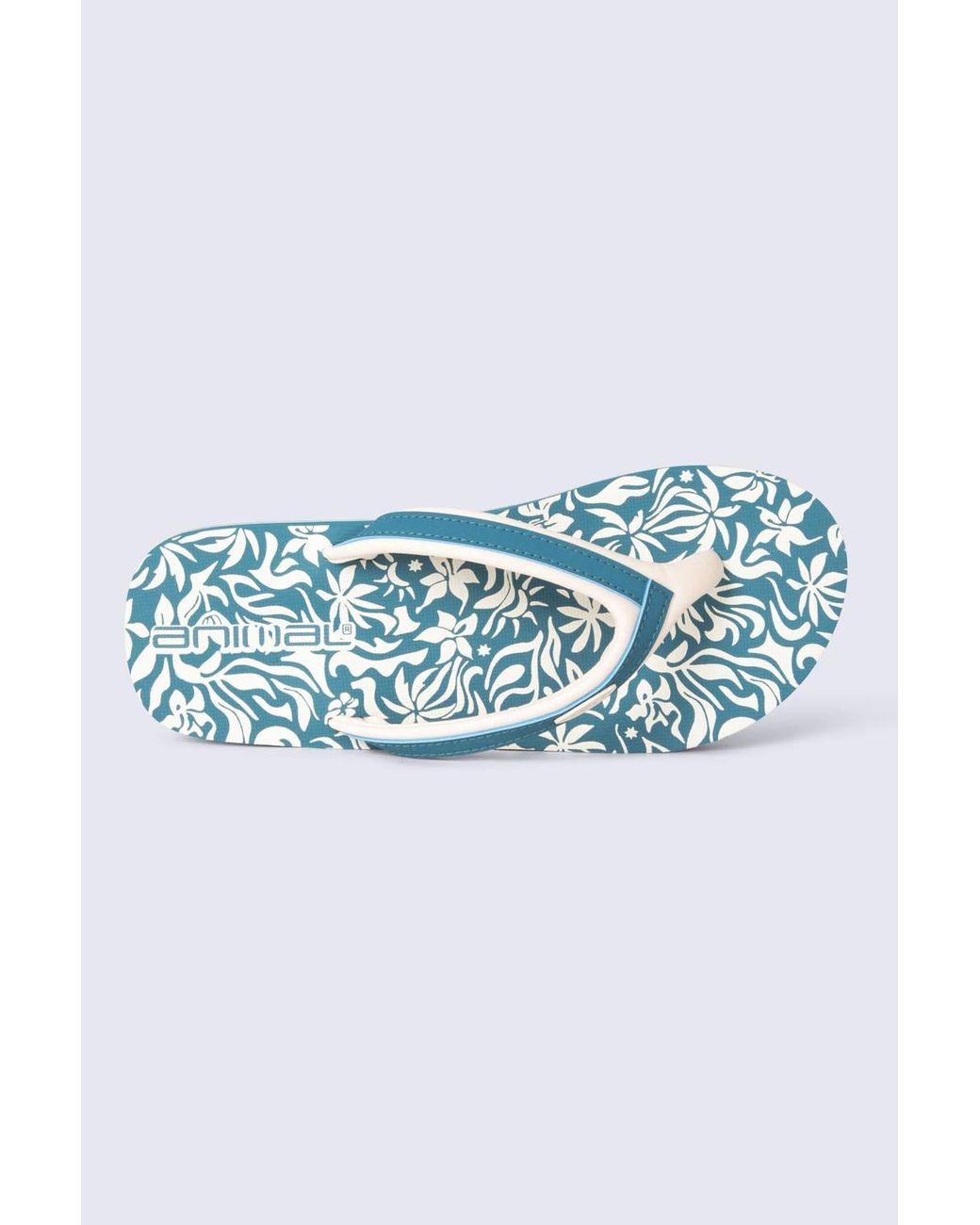 Animal Blue Swish All Over Printed Flip Flop