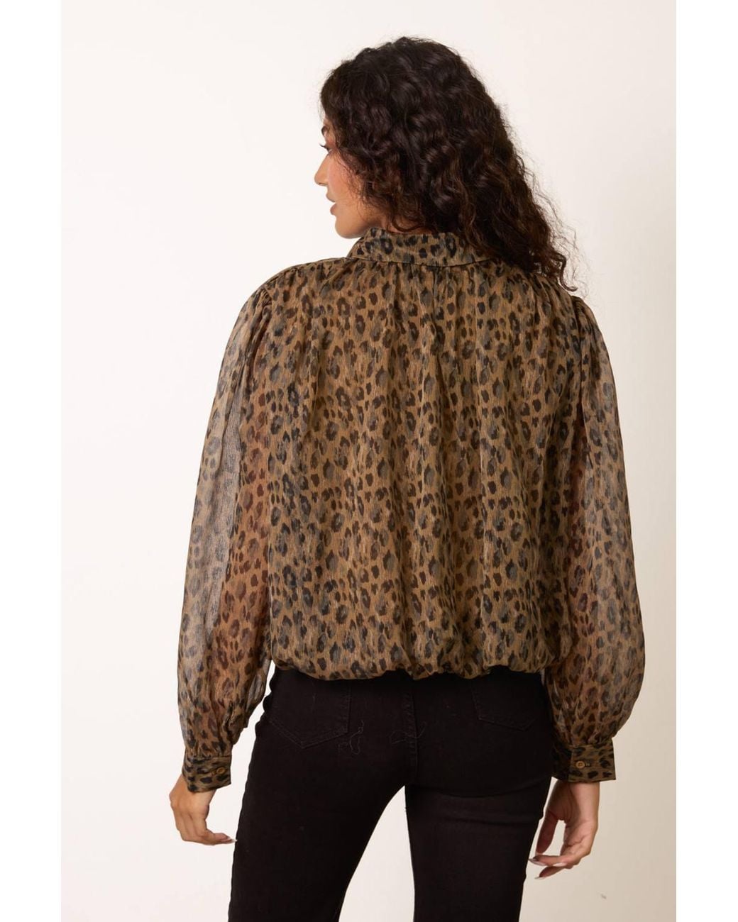 Blue Vanilla Brown Long Sleeve Collar Blouse