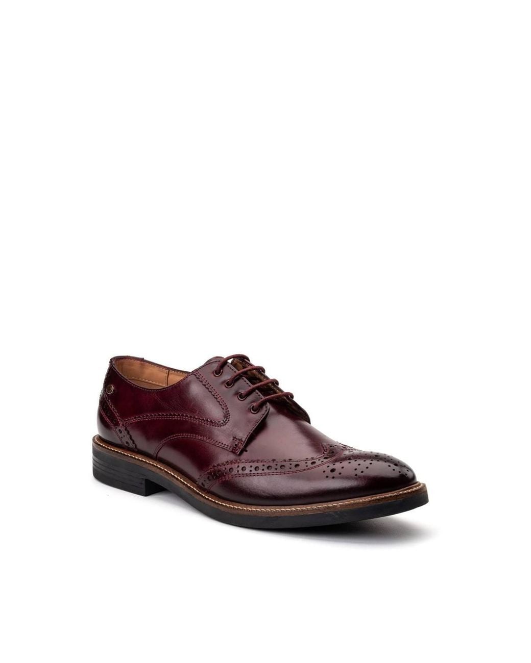 Base London Brown York Brogue Shoe for men