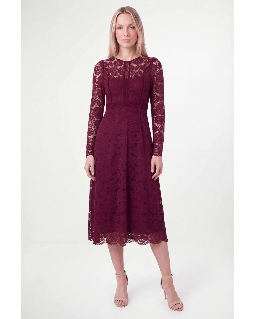 Wallis Purple Petite Lace Fit & Flare Midi Dress