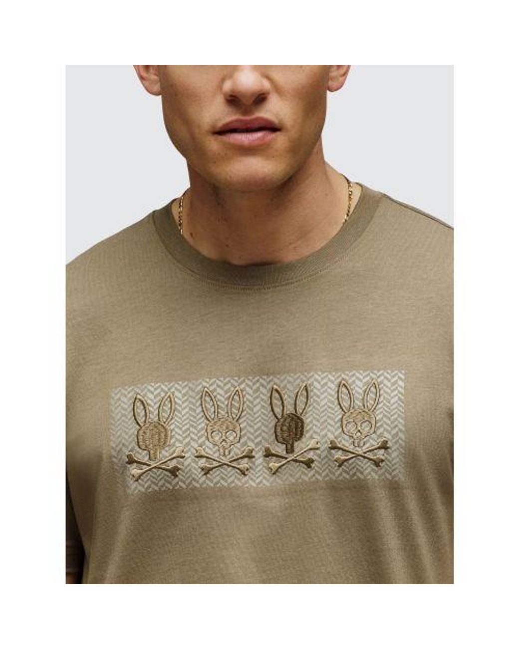 Psycho Bunny Brown Dusky Costello Graphic T-Shirt for men