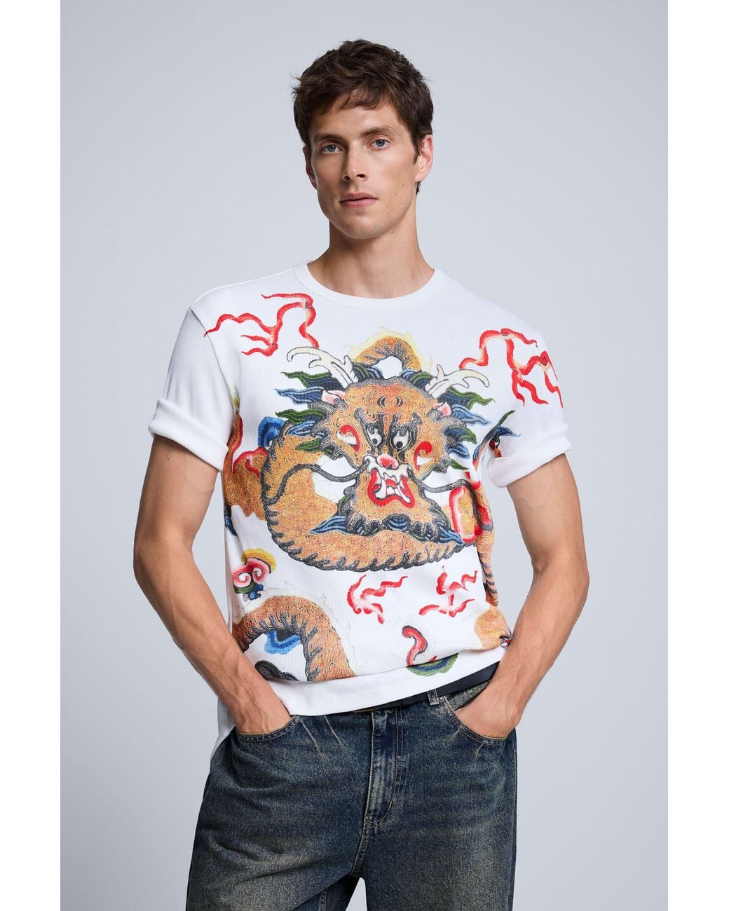 Desigual Gray Dragon Print T-Shirt, Cotton for men