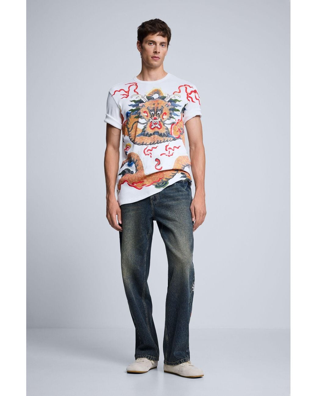 Desigual Gray Dragon Print T-Shirt, Cotton for men