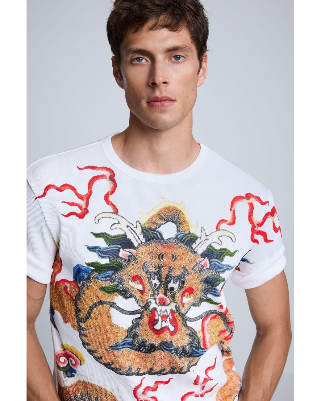 Desigual Gray Dragon Print T-Shirt, Cotton for men