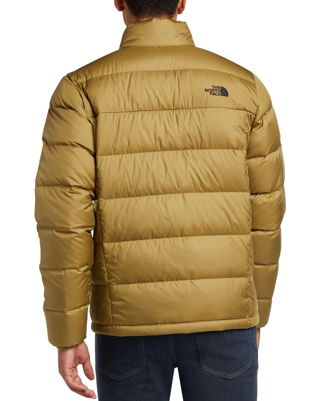 north face alpz luxe hooded jacket men's