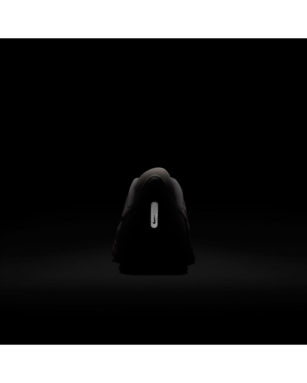 nike pegasus 36 anti winter