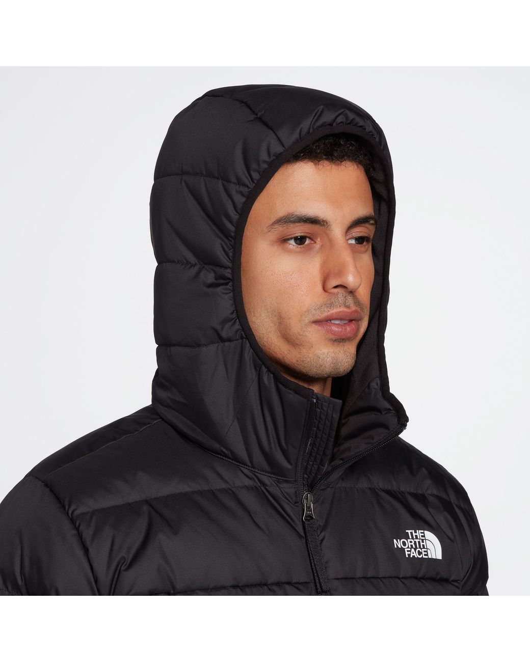 the north face men's alpz luxe winter jacket