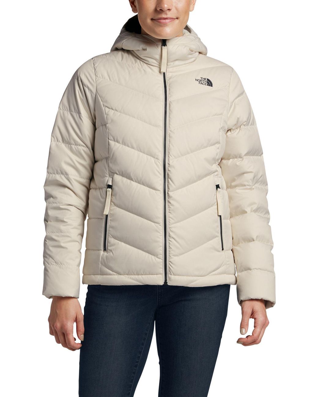 the north face men's alpz luxe winter jacket