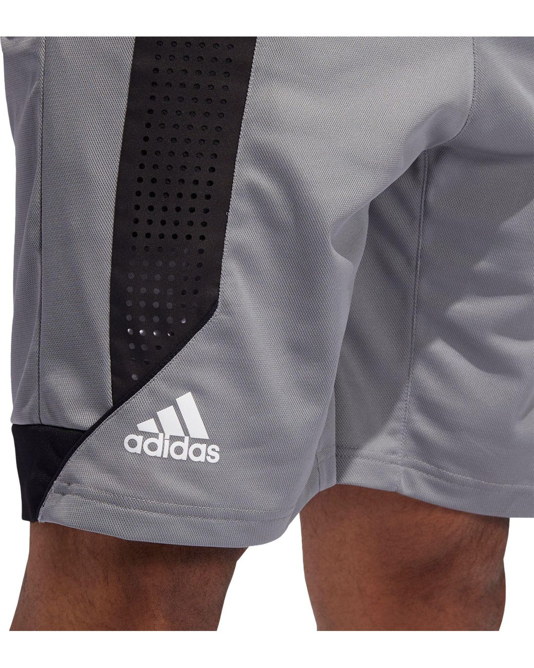 big & tall adidas shorts