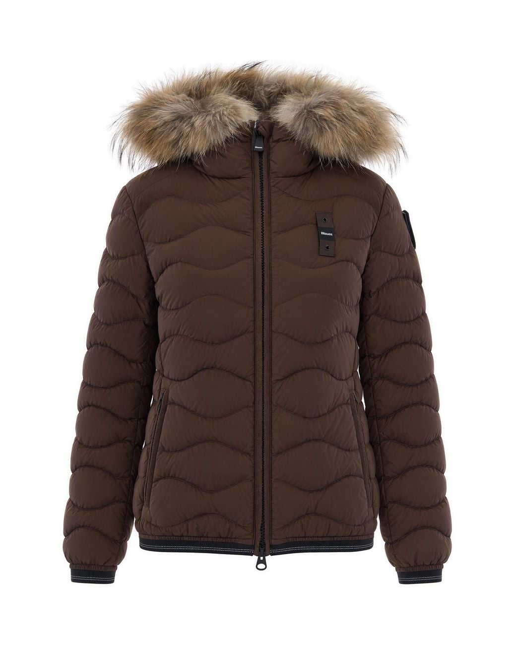 Blauer Brown Piumino Aldie Interno