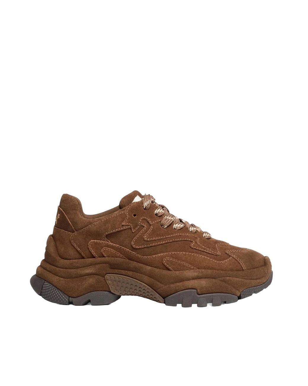 Ash Brown Sneakers Addict Bis Suede Mink