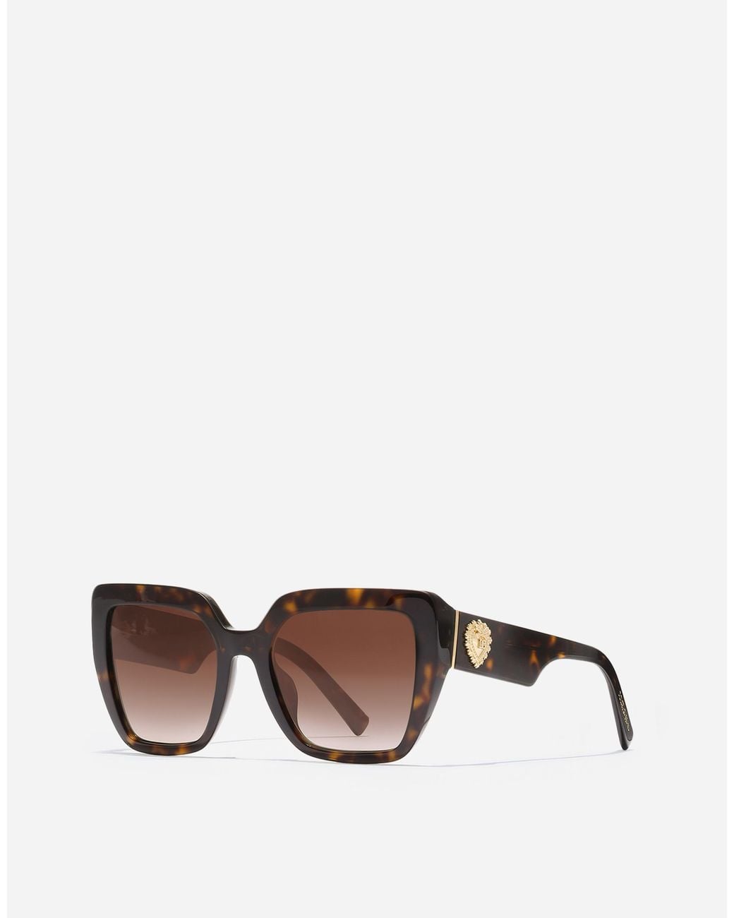 Dolce & Gabbana Brown Devotion Sunglasses
