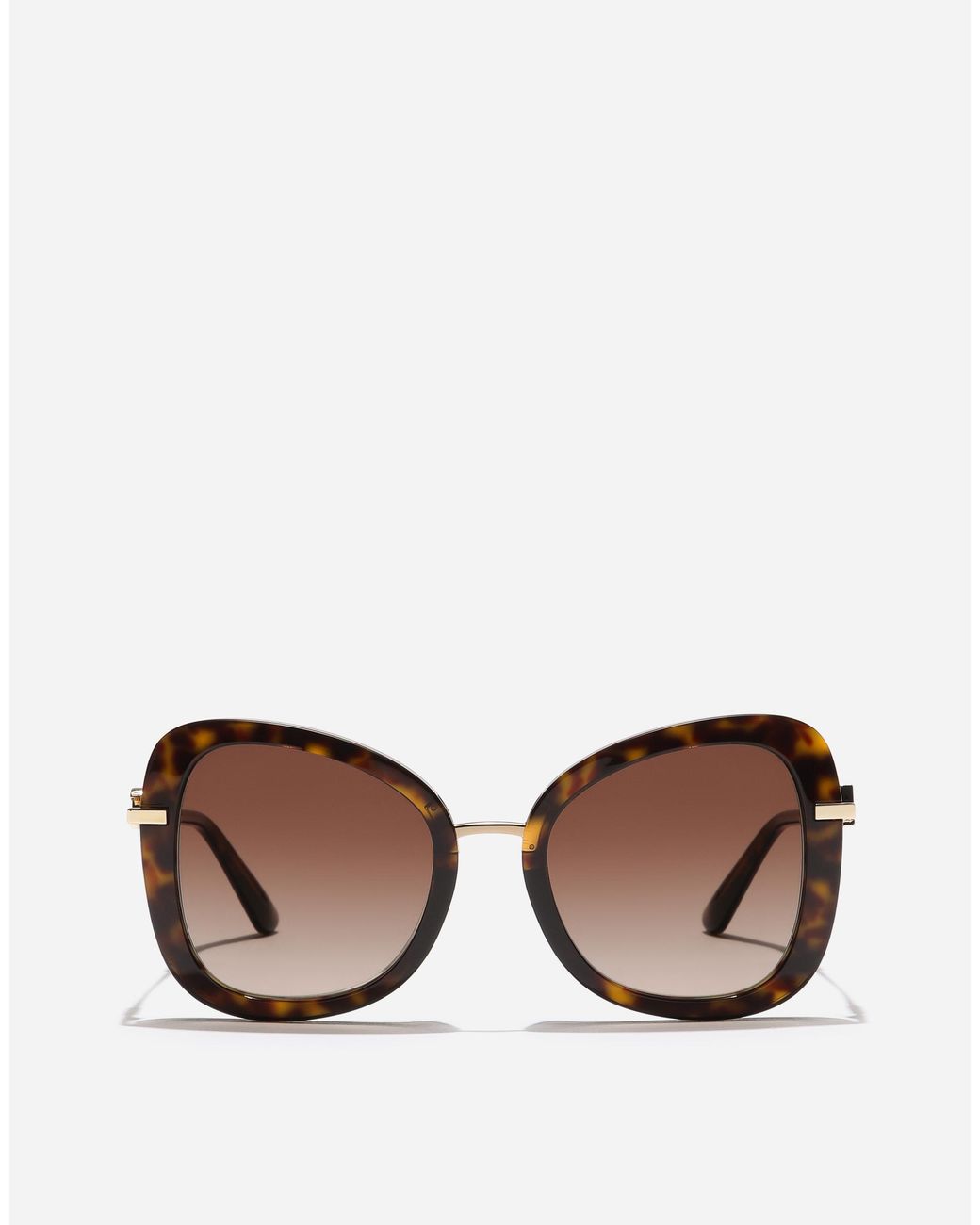 Dolce & Gabbana Brown Dg Glow Sunglasses