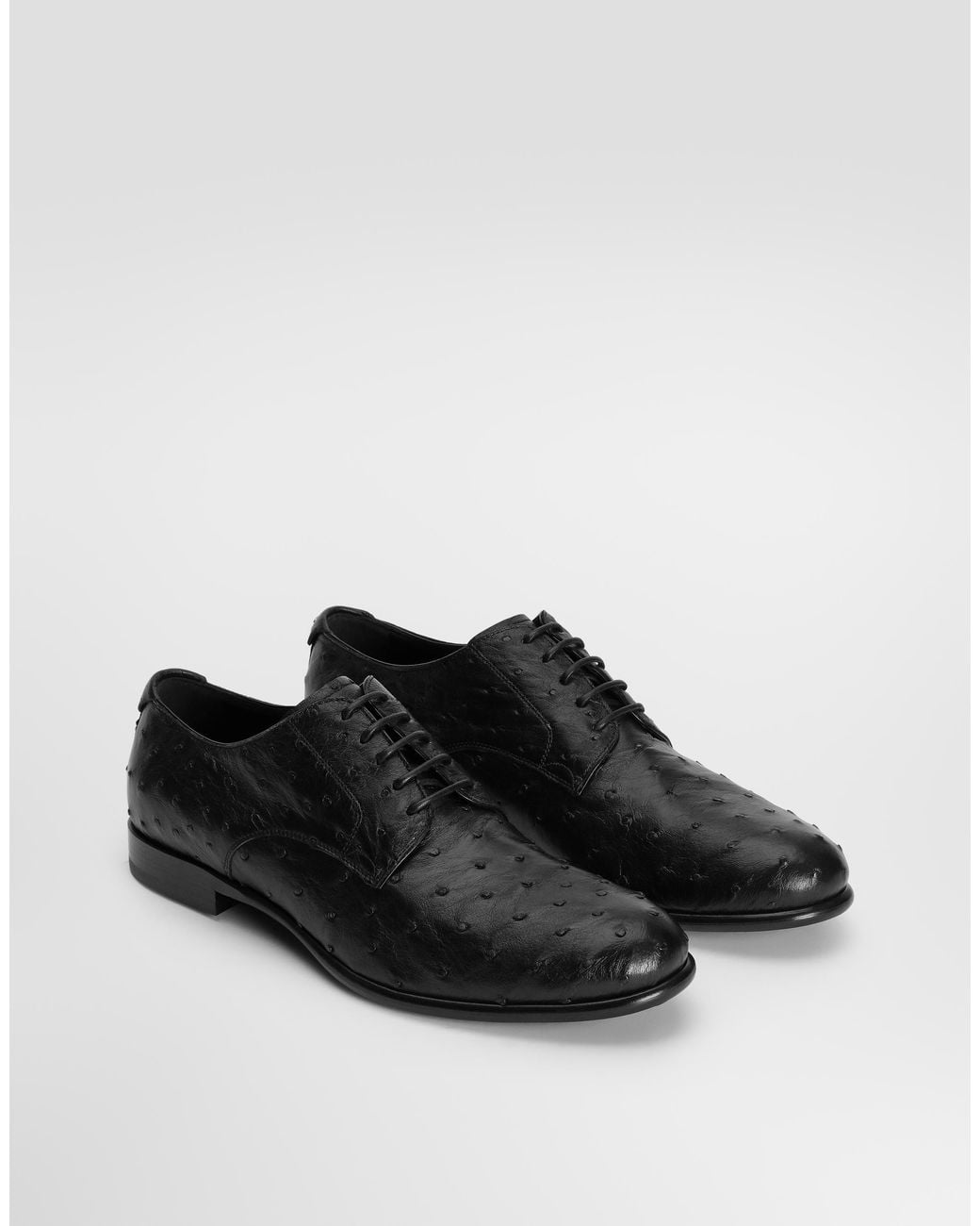 Dolce & Gabbana Black Ostrich Leather Derby Shoes for men