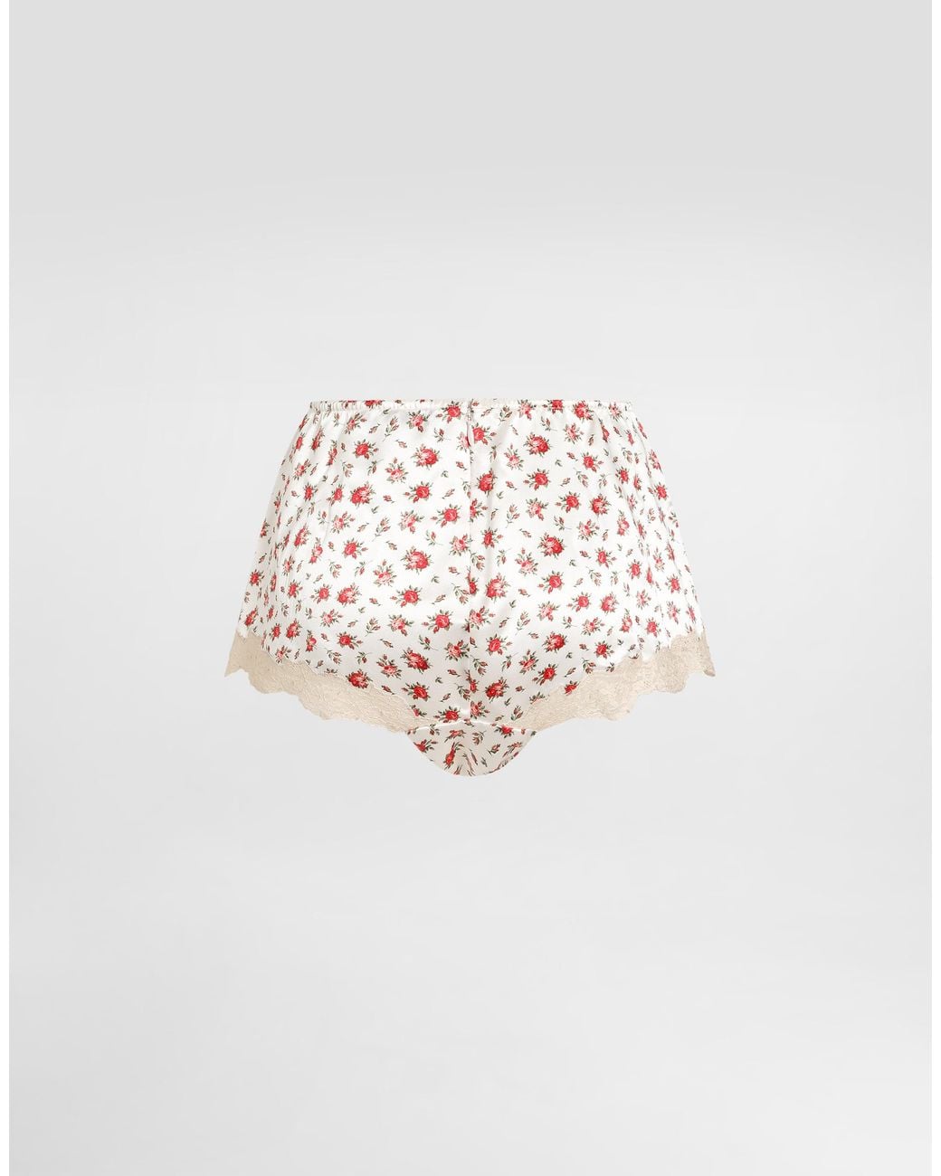 Dolce & Gabbana White Small Rose-Print Lace And Satin Briefs