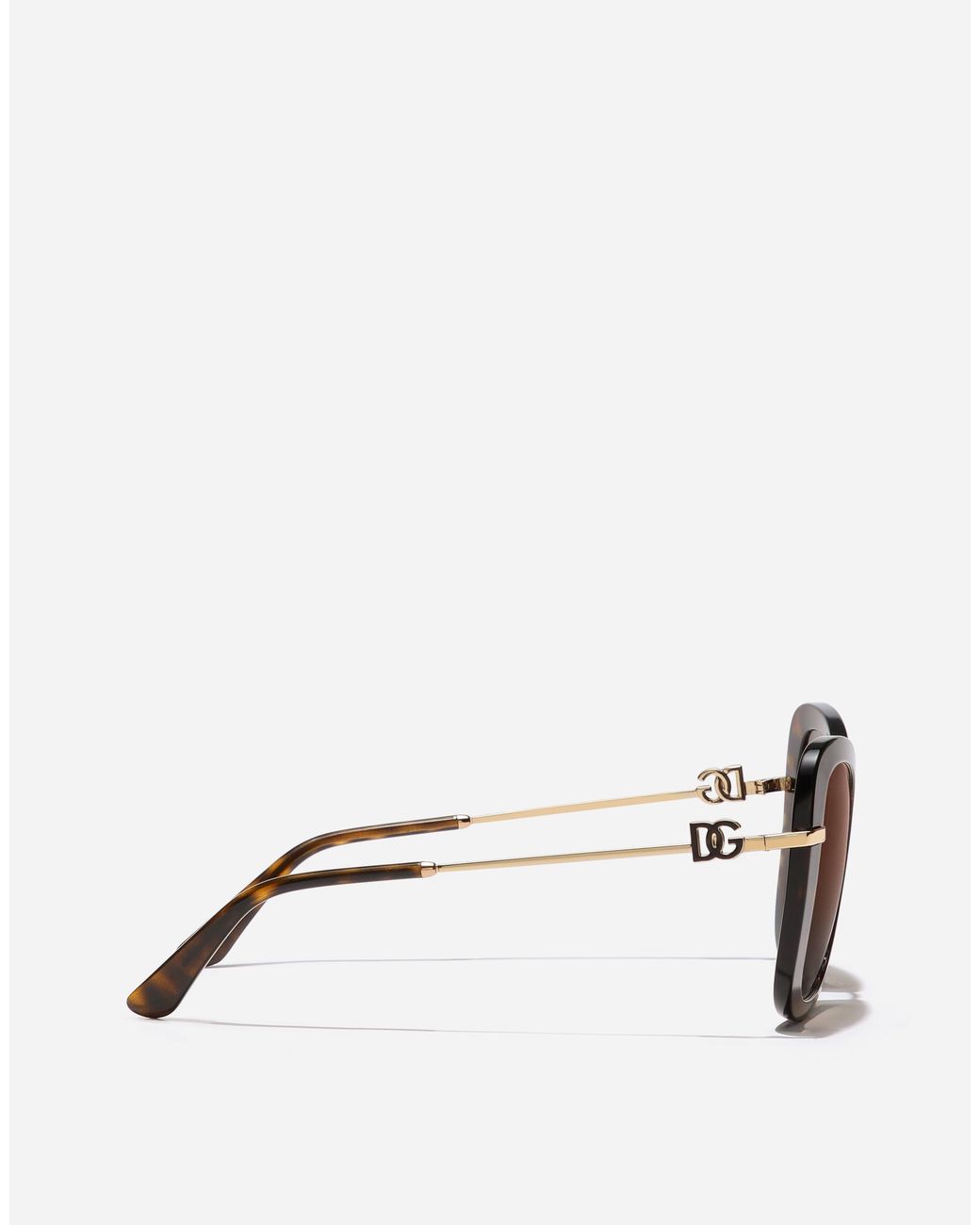 Dolce & Gabbana Brown Dg Glow Sunglasses