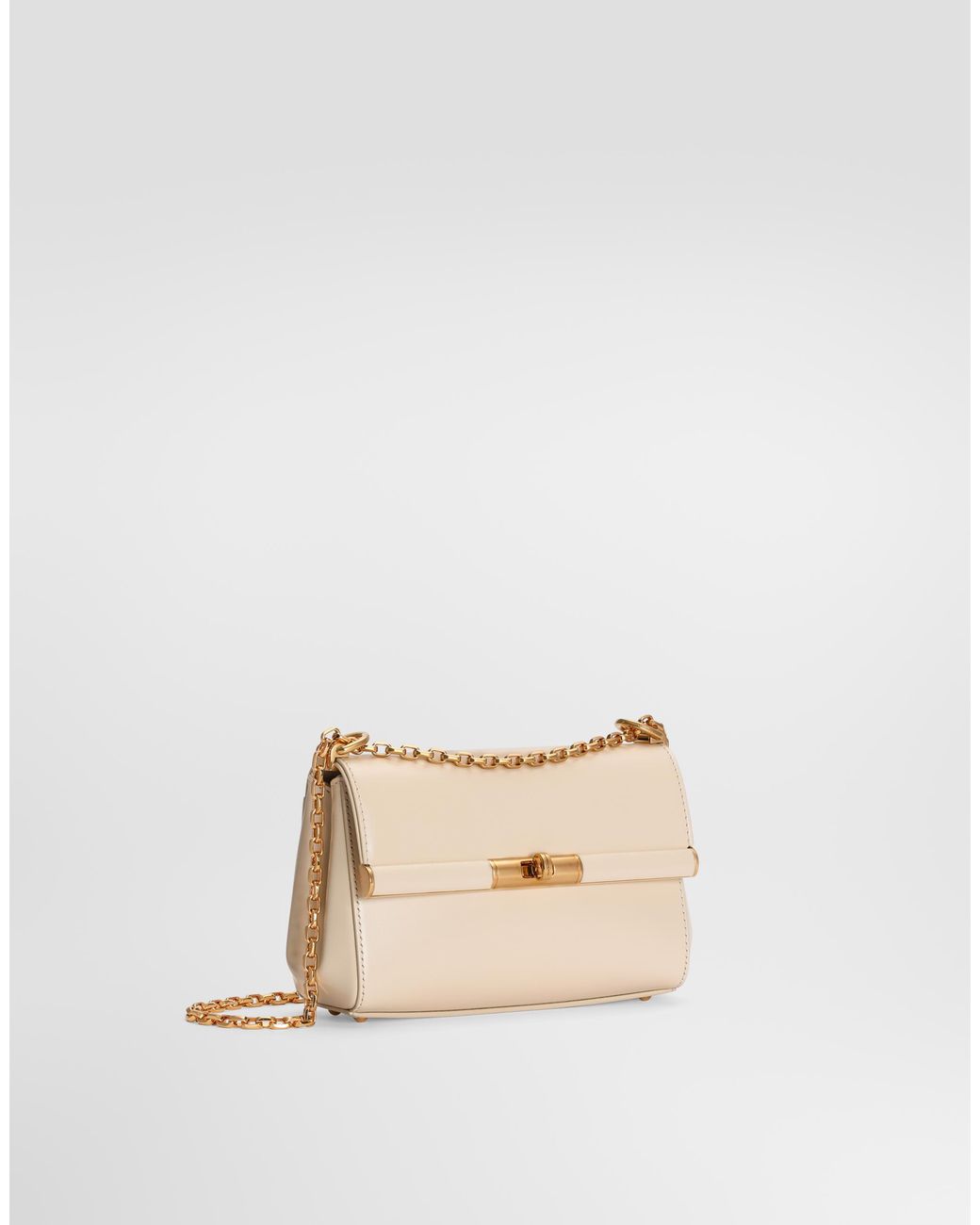 Dolce & Gabbana Natural Borsaspalla-Tracolla