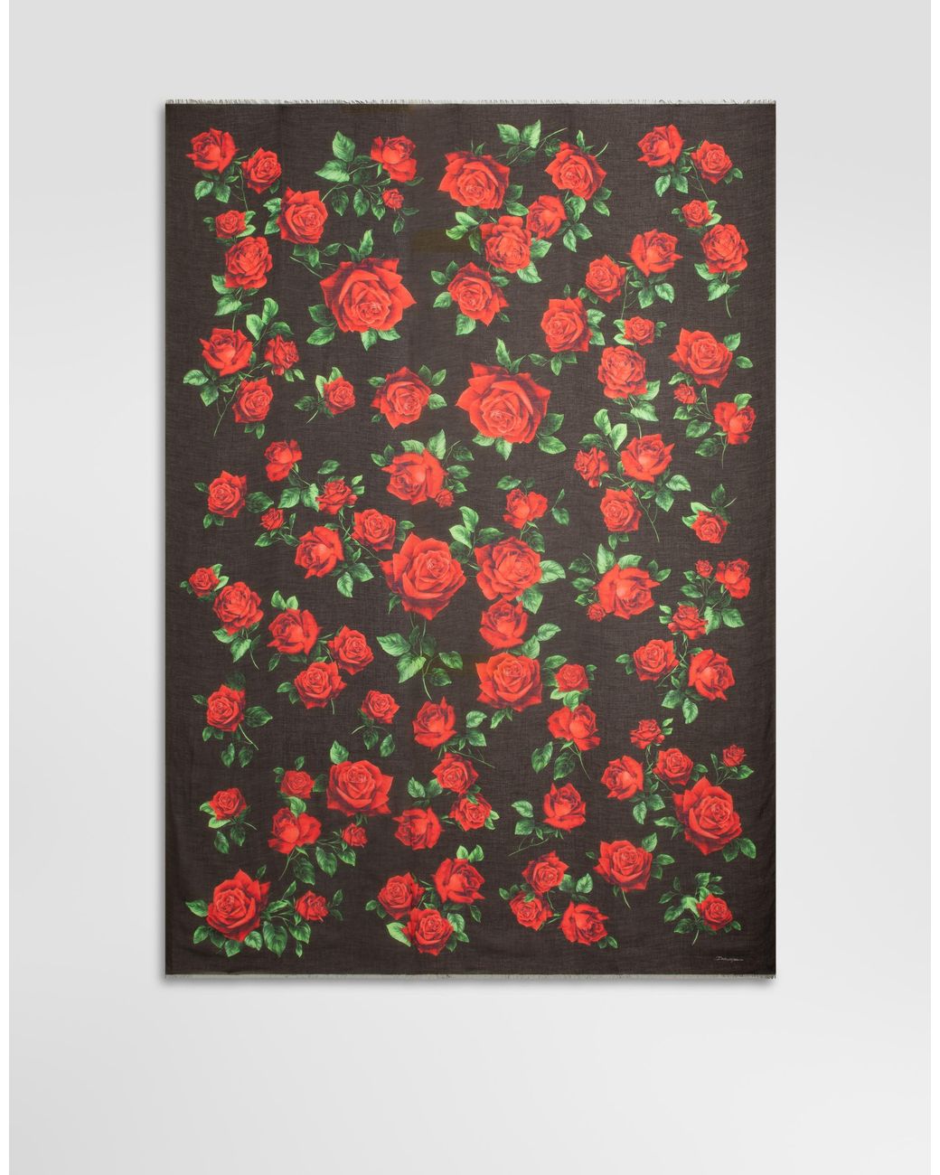 Dolce & Gabbana Black 135X200 Rose-Print Cashmere Blend Stole