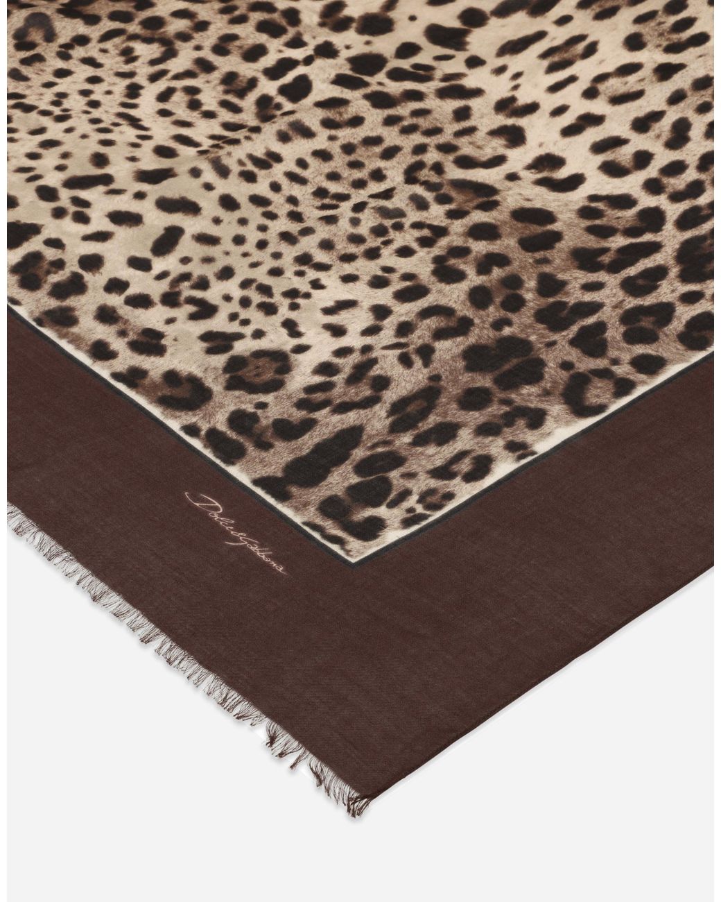 Dolce & Gabbana Brown Leopard-Print Modal And Cashmere Scarf (135X200)