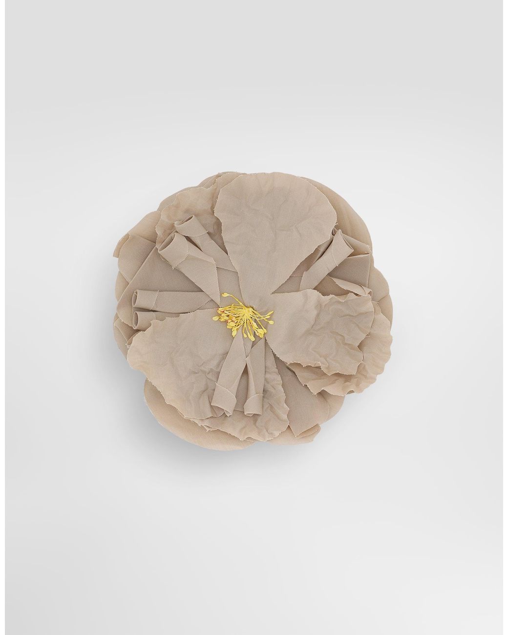 Dolce & Gabbana White Spilla Con Fiore for men