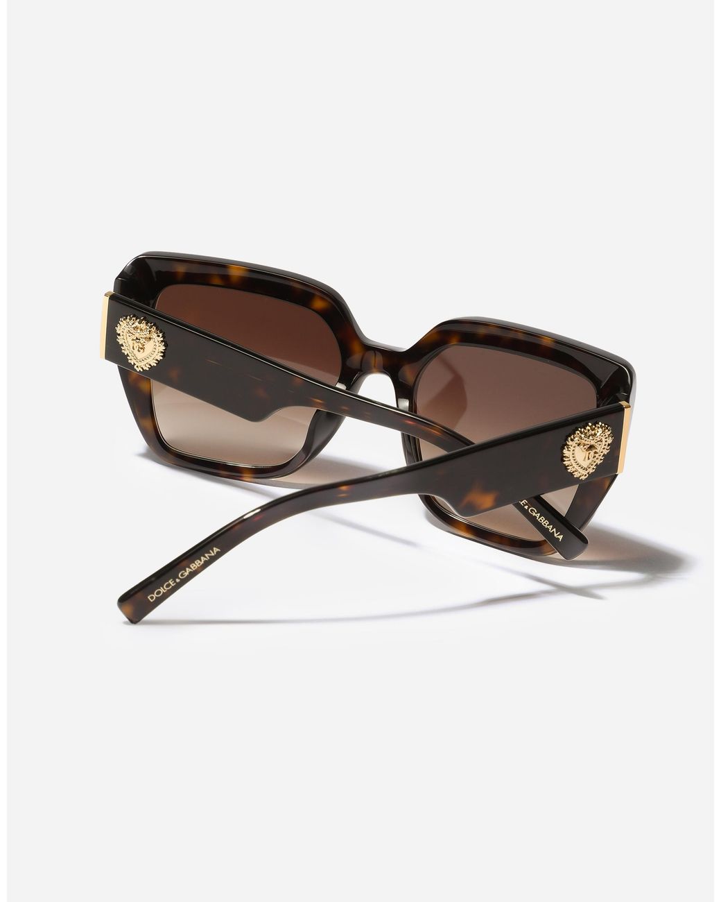 Dolce & Gabbana Brown Devotion Sunglasses