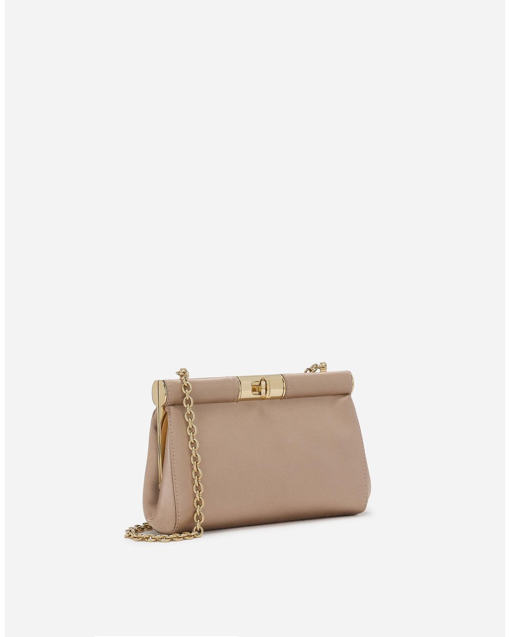 Dolce & Gabbana Natural Borsaspalla-Tracolla