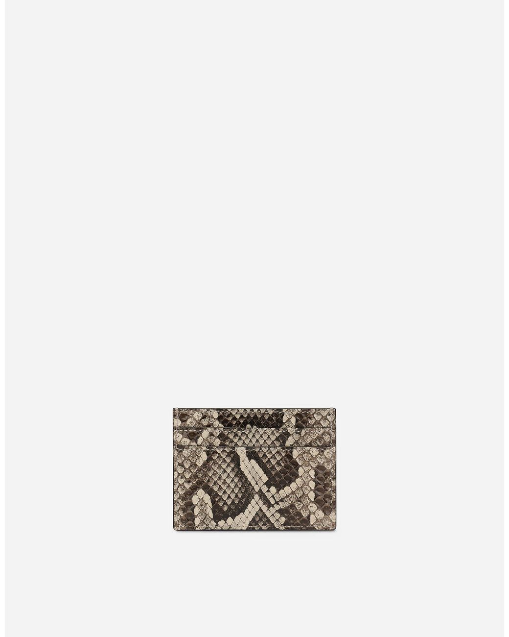 Dolce & Gabbana Multicolor Portacarte for men