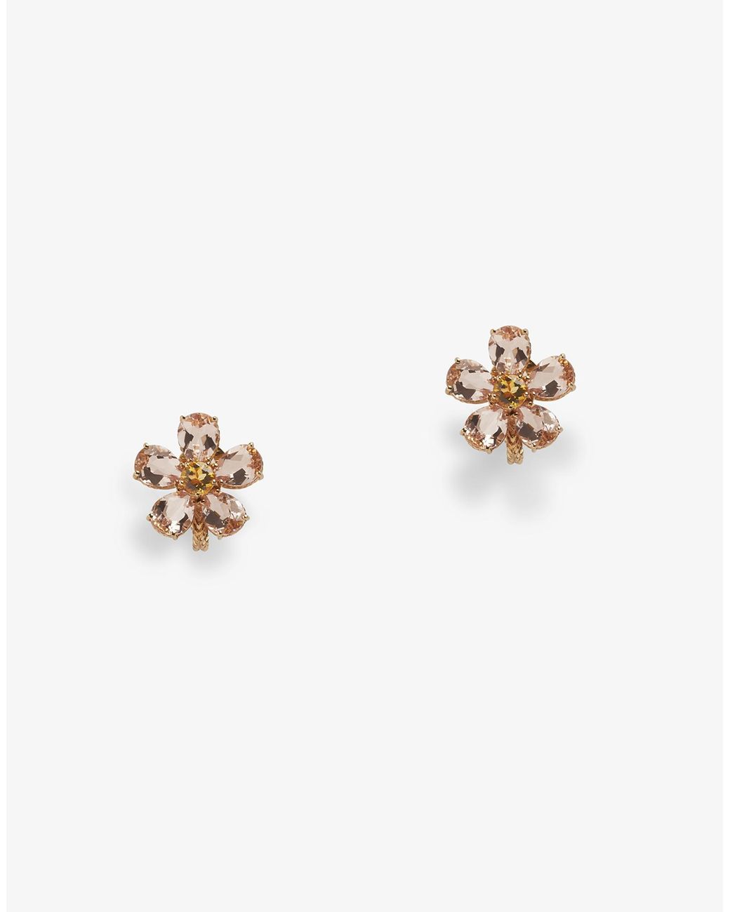 Dolce & Gabbana Black Earrings With Sapphires
