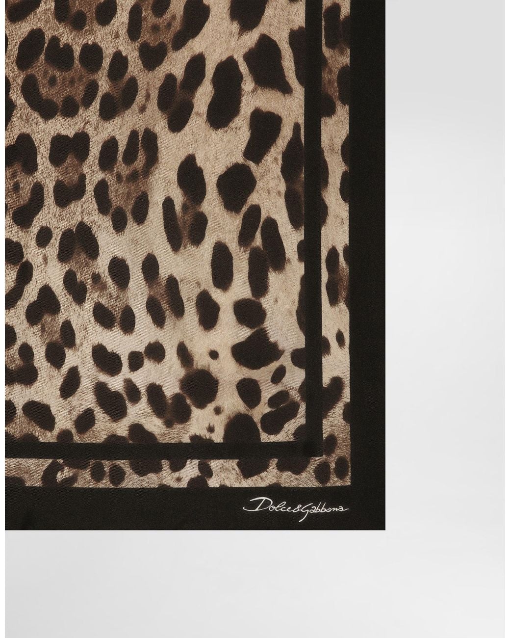Dolce & Gabbana Black Leopard- Silk Twill Scarf 70X70
