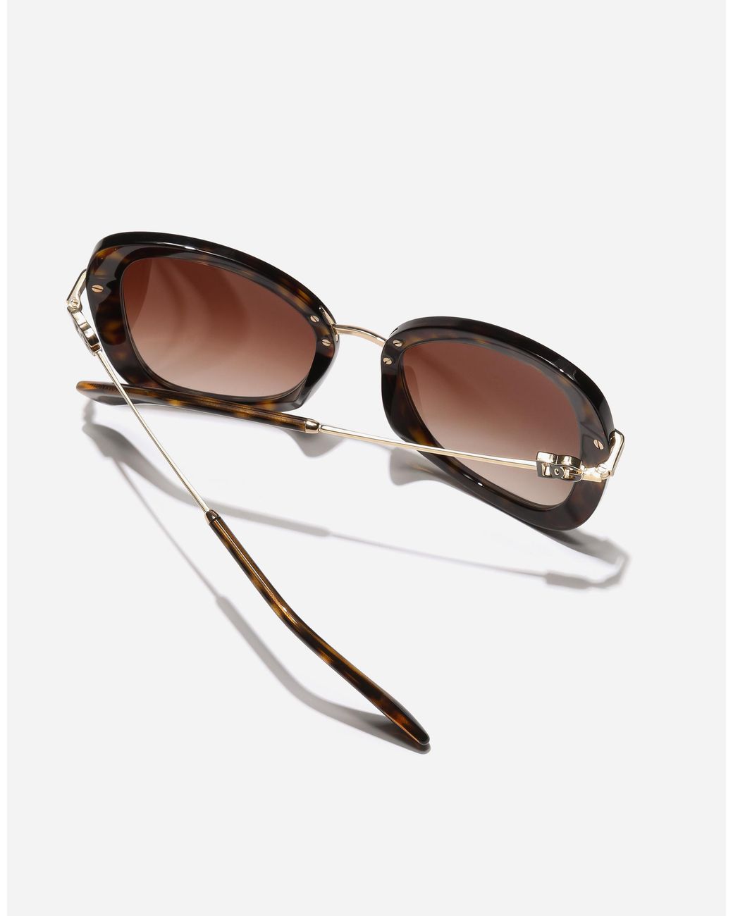 Dolce & Gabbana Brown Dg Glow Sunglasses