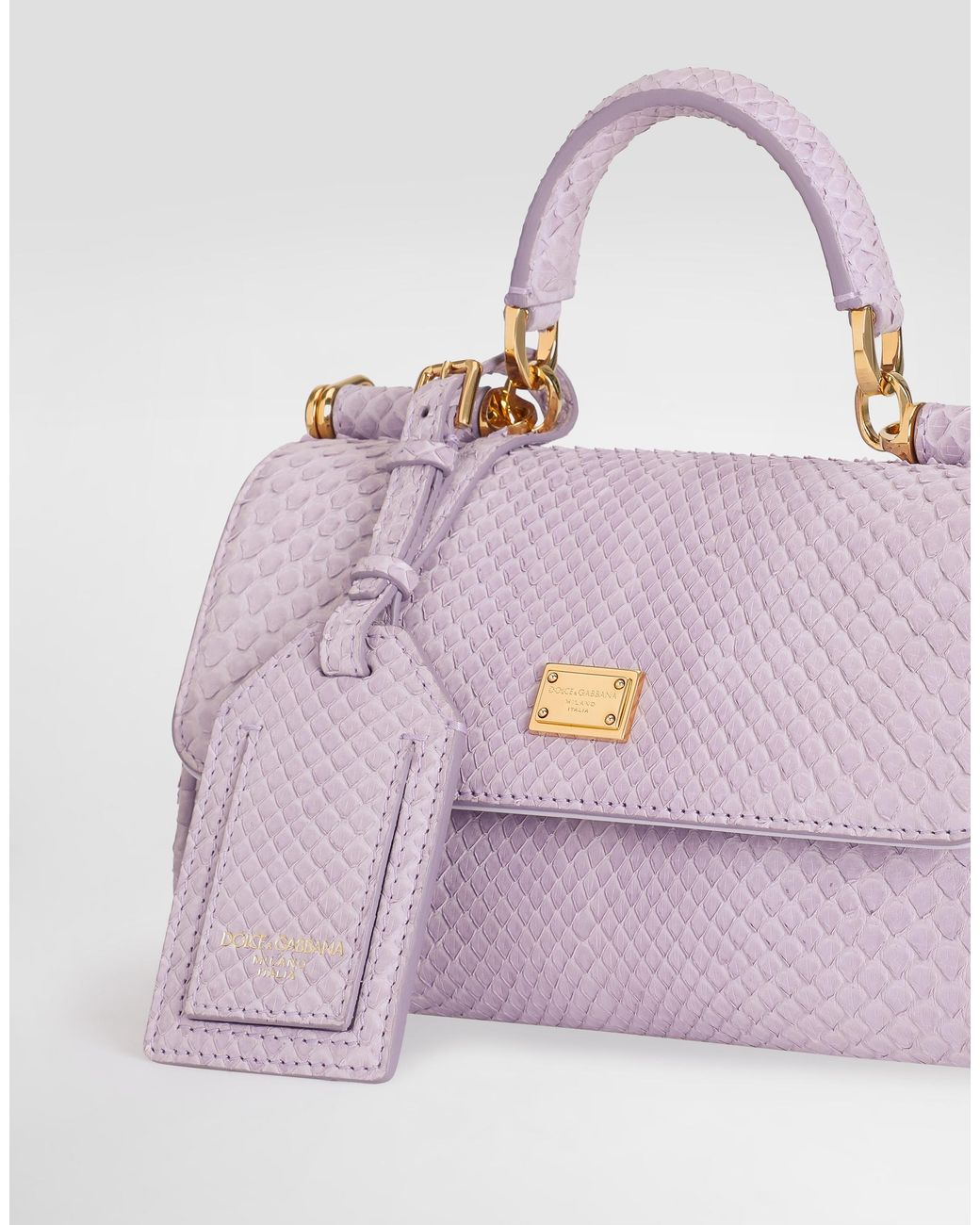 Dolce & Gabbana Purple Borsa A Mano