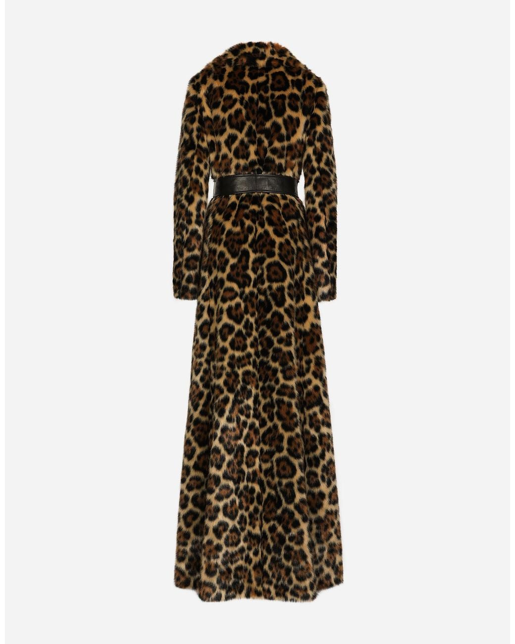 Dolce & Gabbana Brown Cappotto