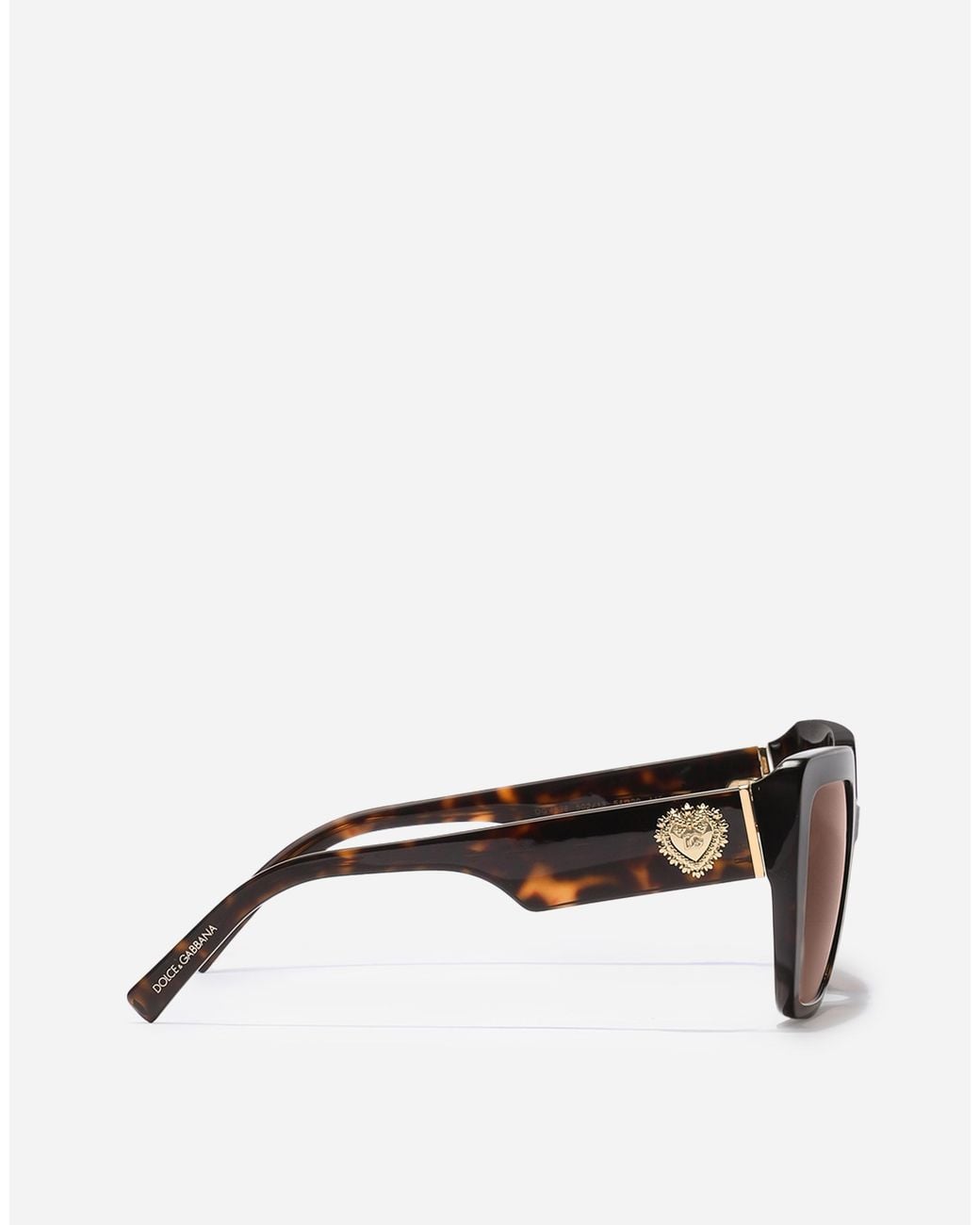 Dolce & Gabbana Brown Devotion Sunglasses