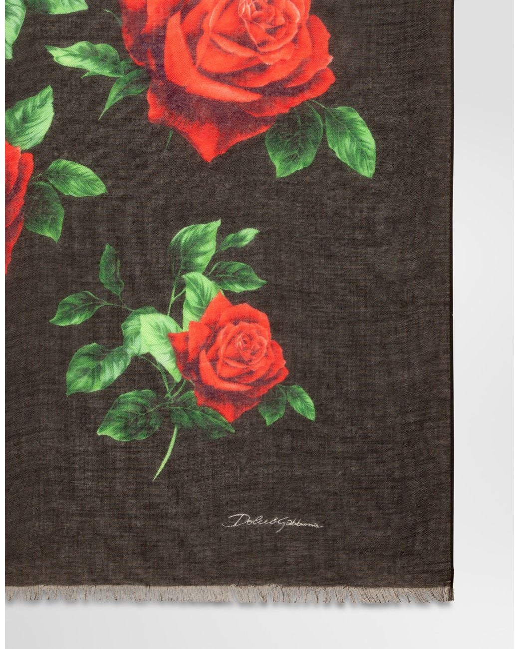 Dolce & Gabbana Black 135X200 Rose-Print Cashmere Blend Stole