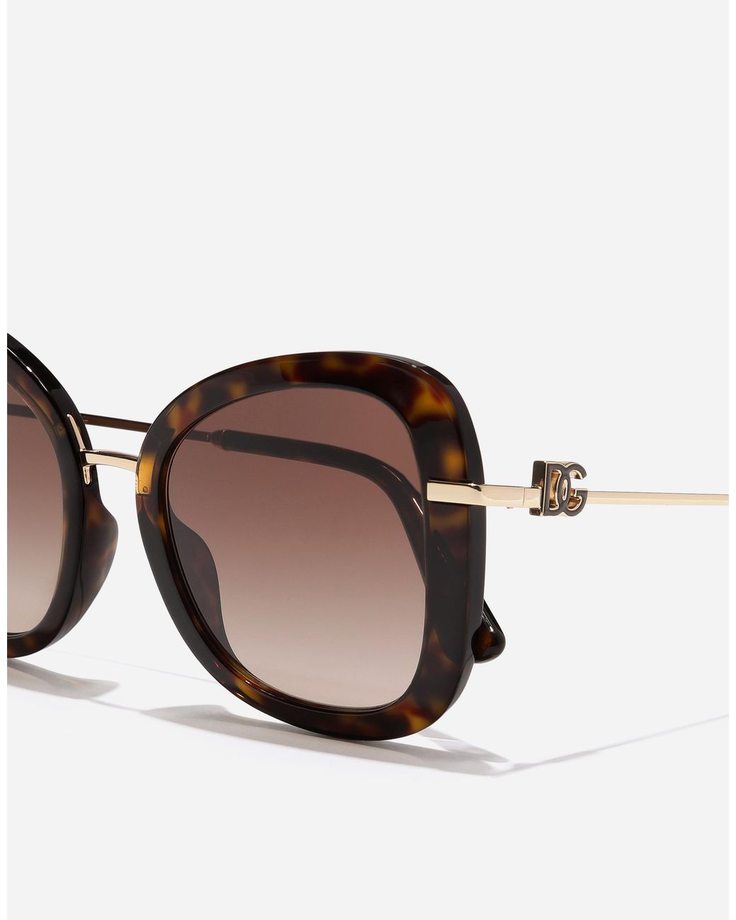 Dolce & Gabbana Brown Dg Glow Sunglasses