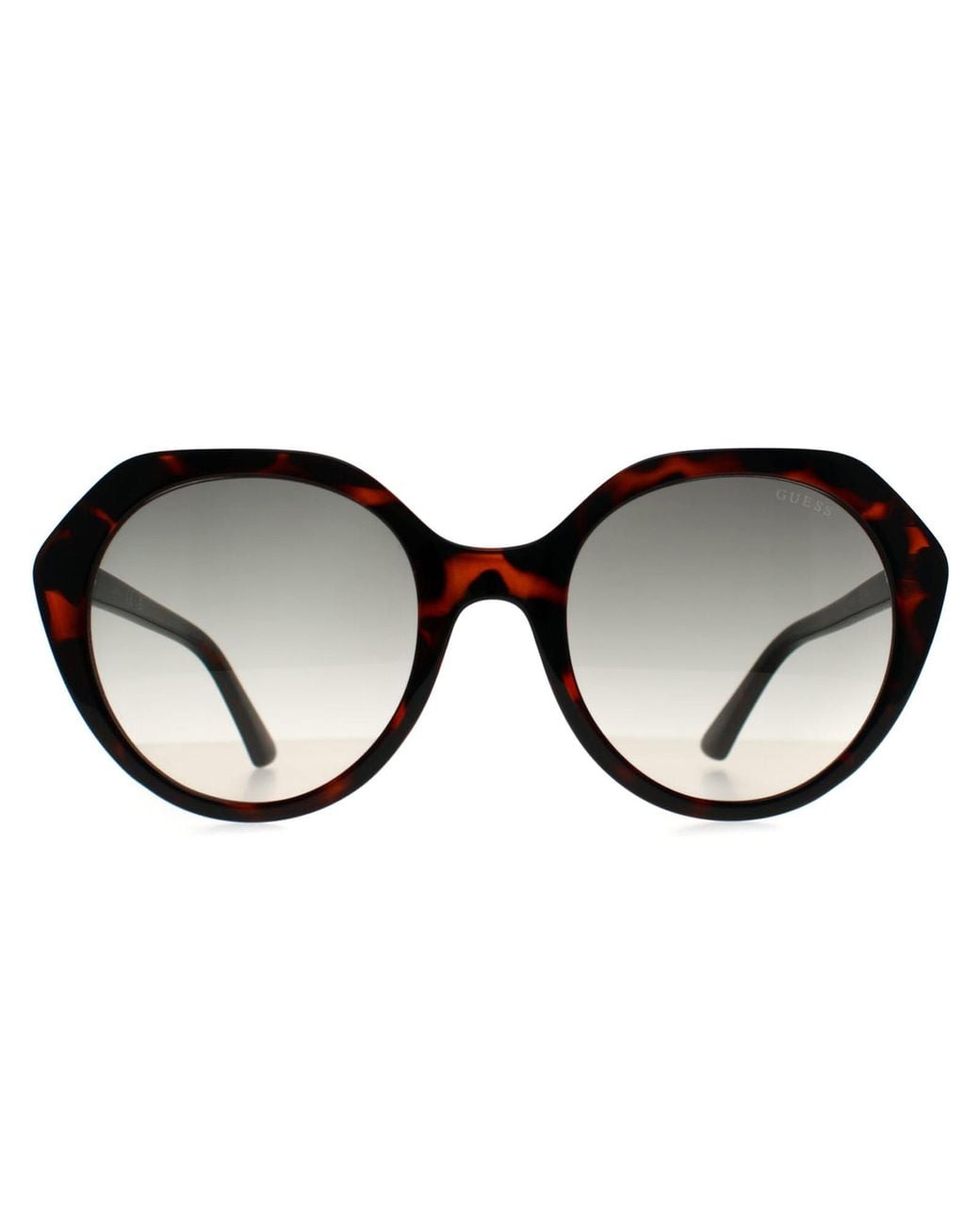 Guess Brown Oval Dark Havana Gradient Gf6201
