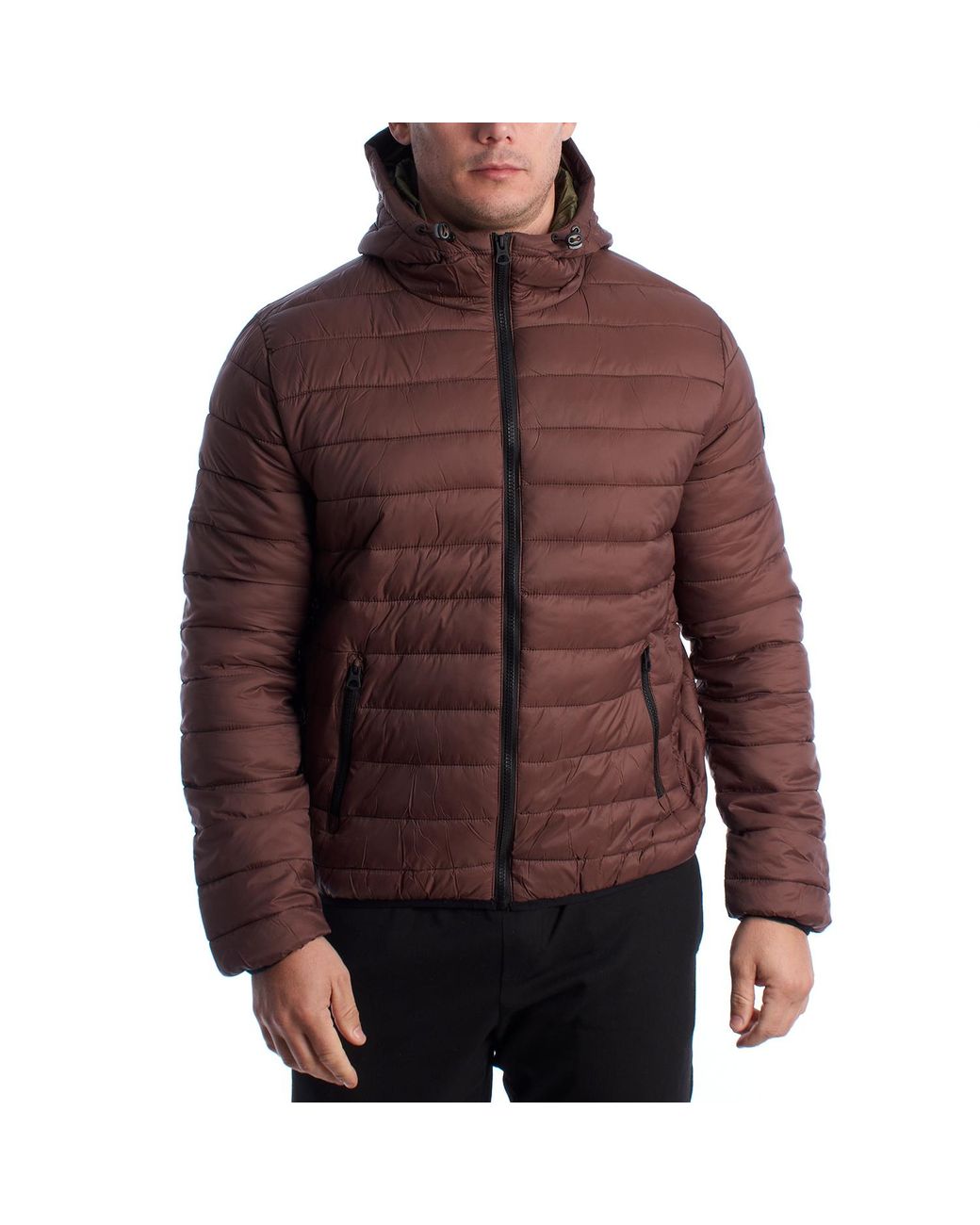 U.S. POLO ASSN. Brown Padded Jacket With Hood Us40127020 for men