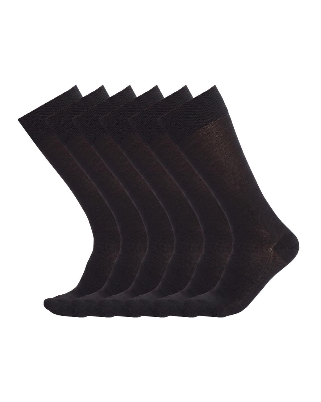 Pro Socks Black 6 Pairs Executive Cotton High-Top Seamless S15001 for men