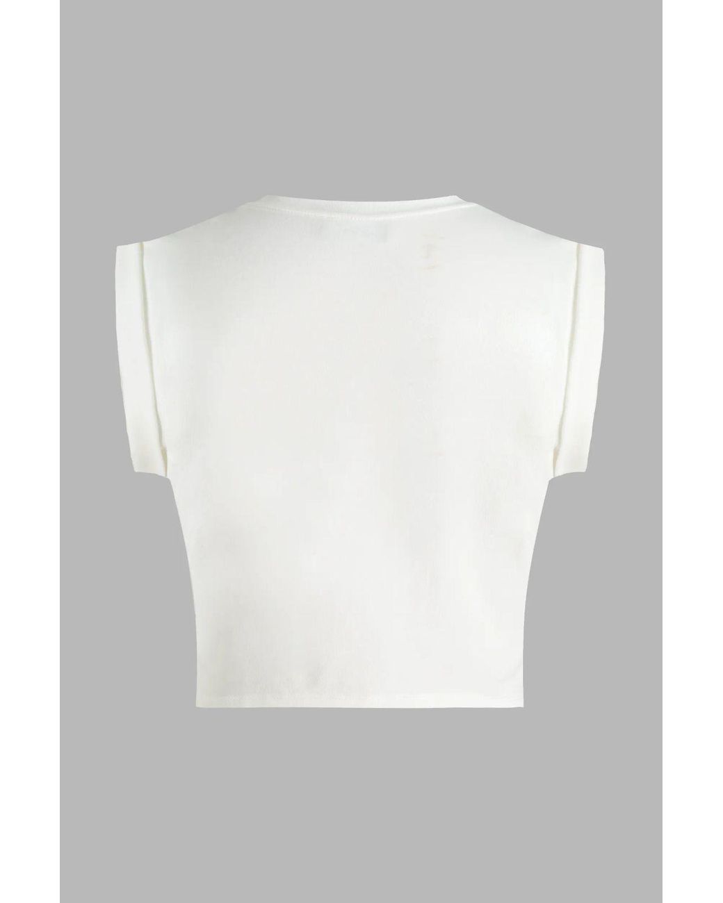 Hiccup Gray Printed Crop T-Shirt