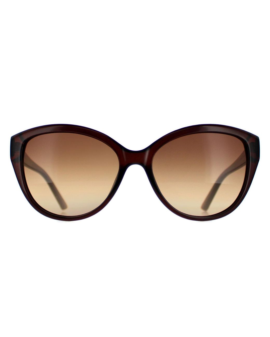 Calvin Klein Brown Cat Eye Crystal Ck19536S