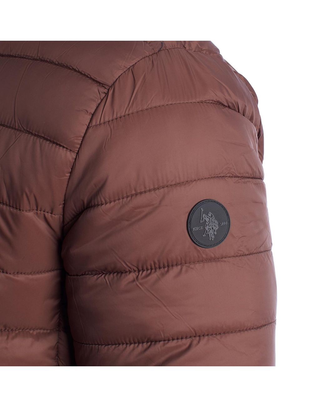 U.S. POLO ASSN. Brown Padded Jacket With Hood Us40127020 for men