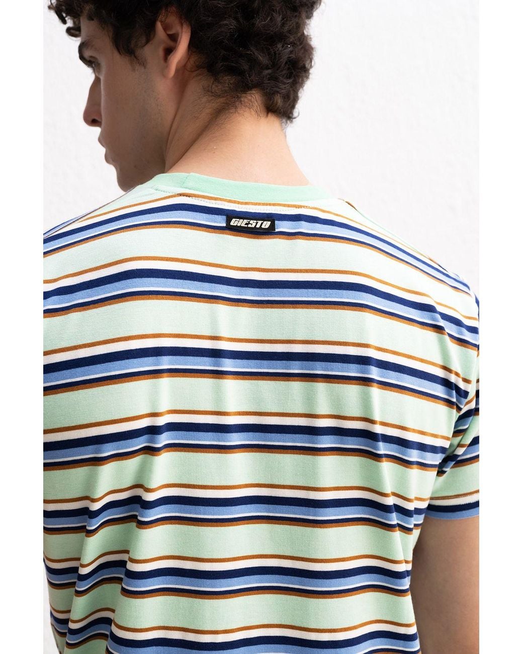 Giesto Multicolor Comfort Fit Crew Neck Striped T-Shirt for men