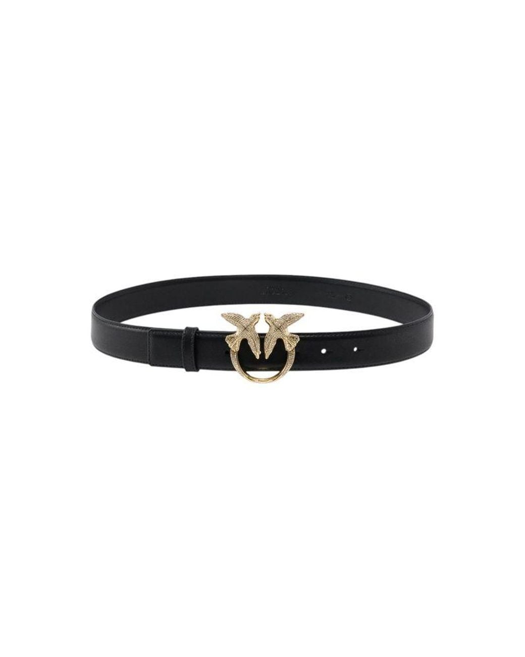 Pinko Ceintuur in het Black