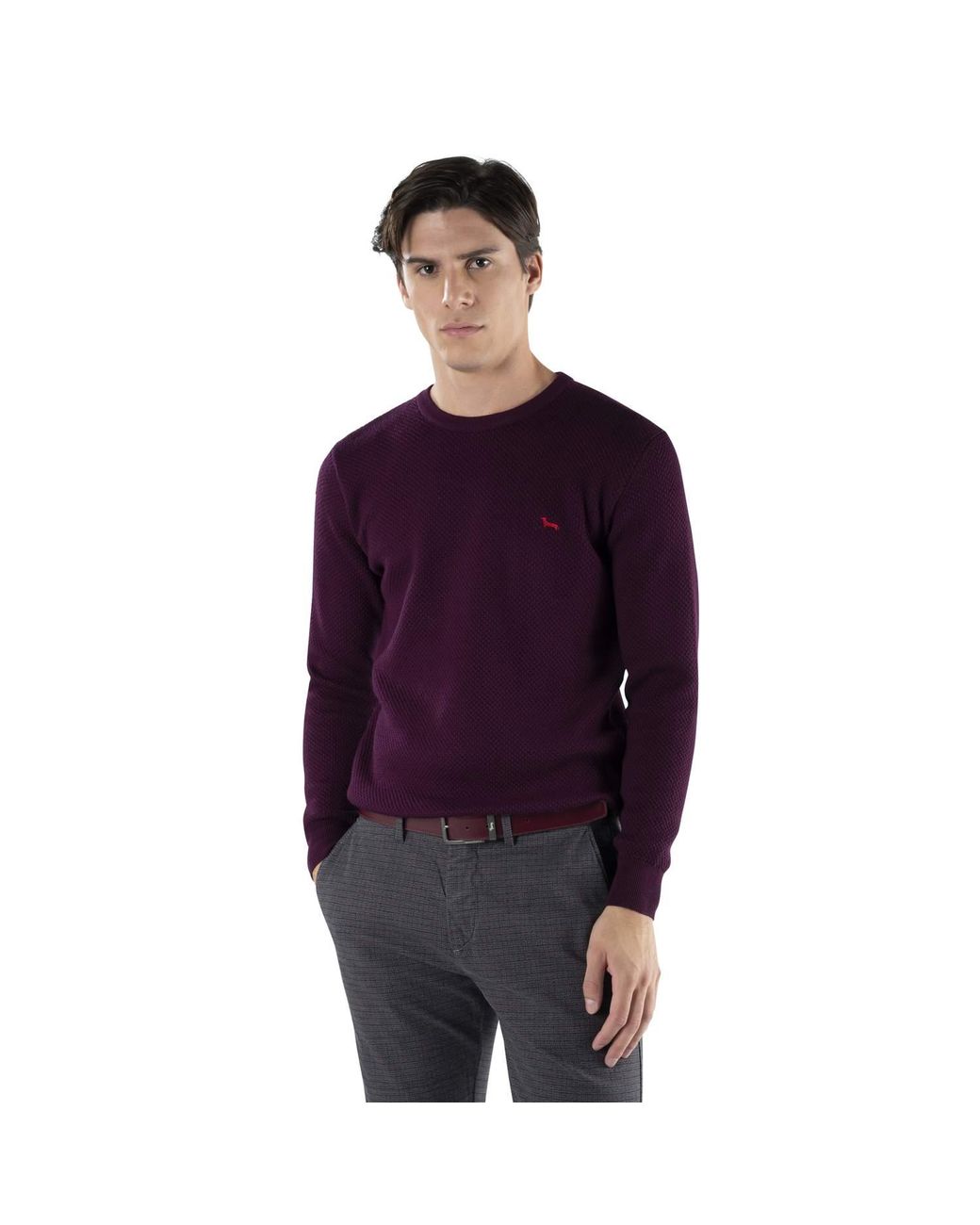Harmont & Blaine Purple Sweaters for men