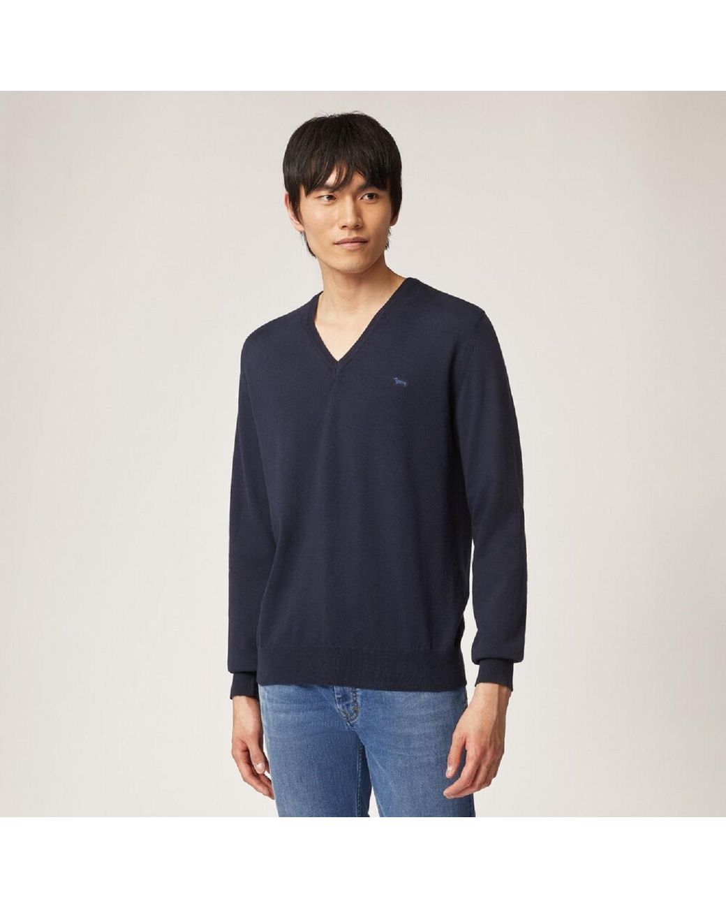 Harmont & Blaine Blue Sweaters for men