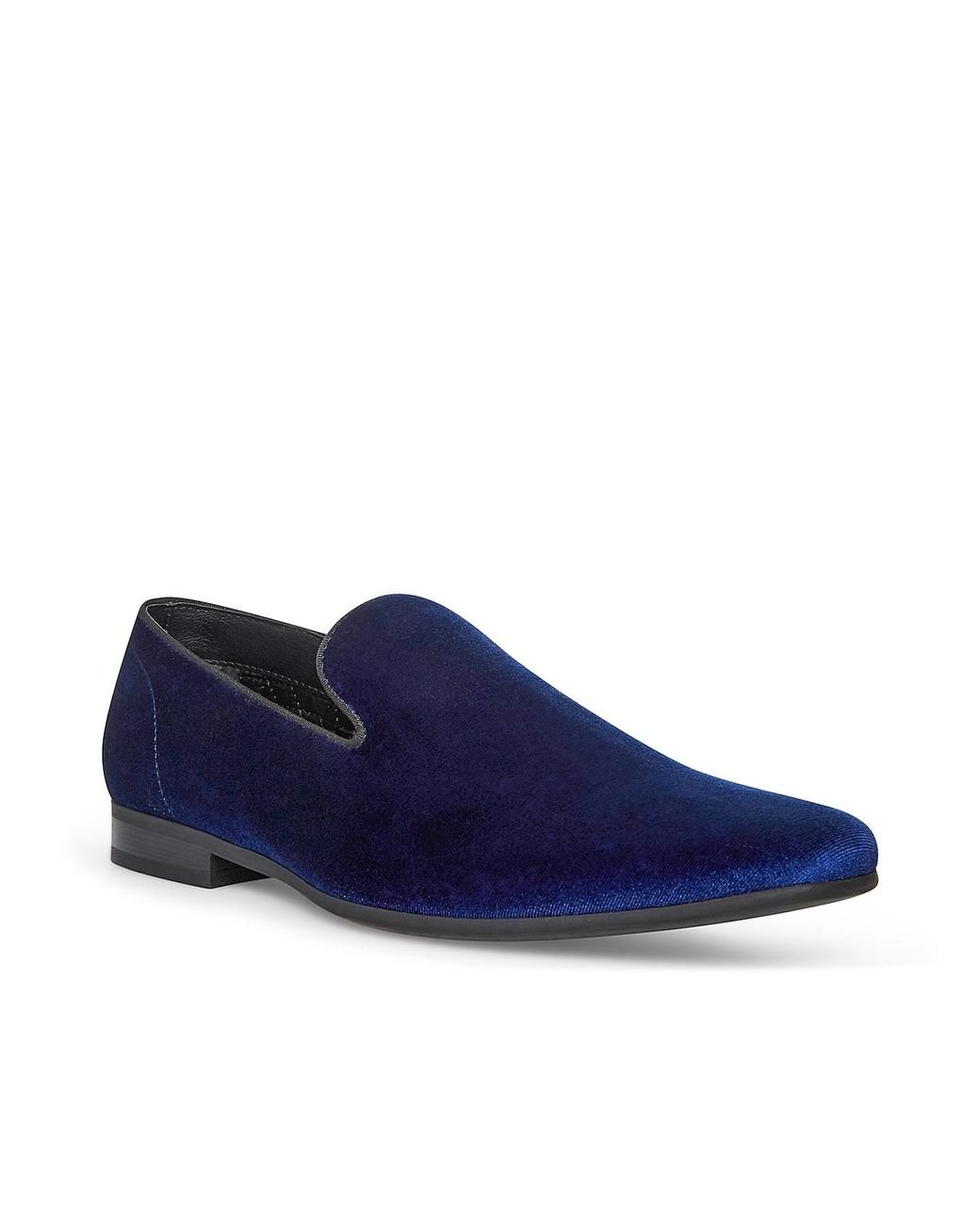 Steve madden blue loafers 2025