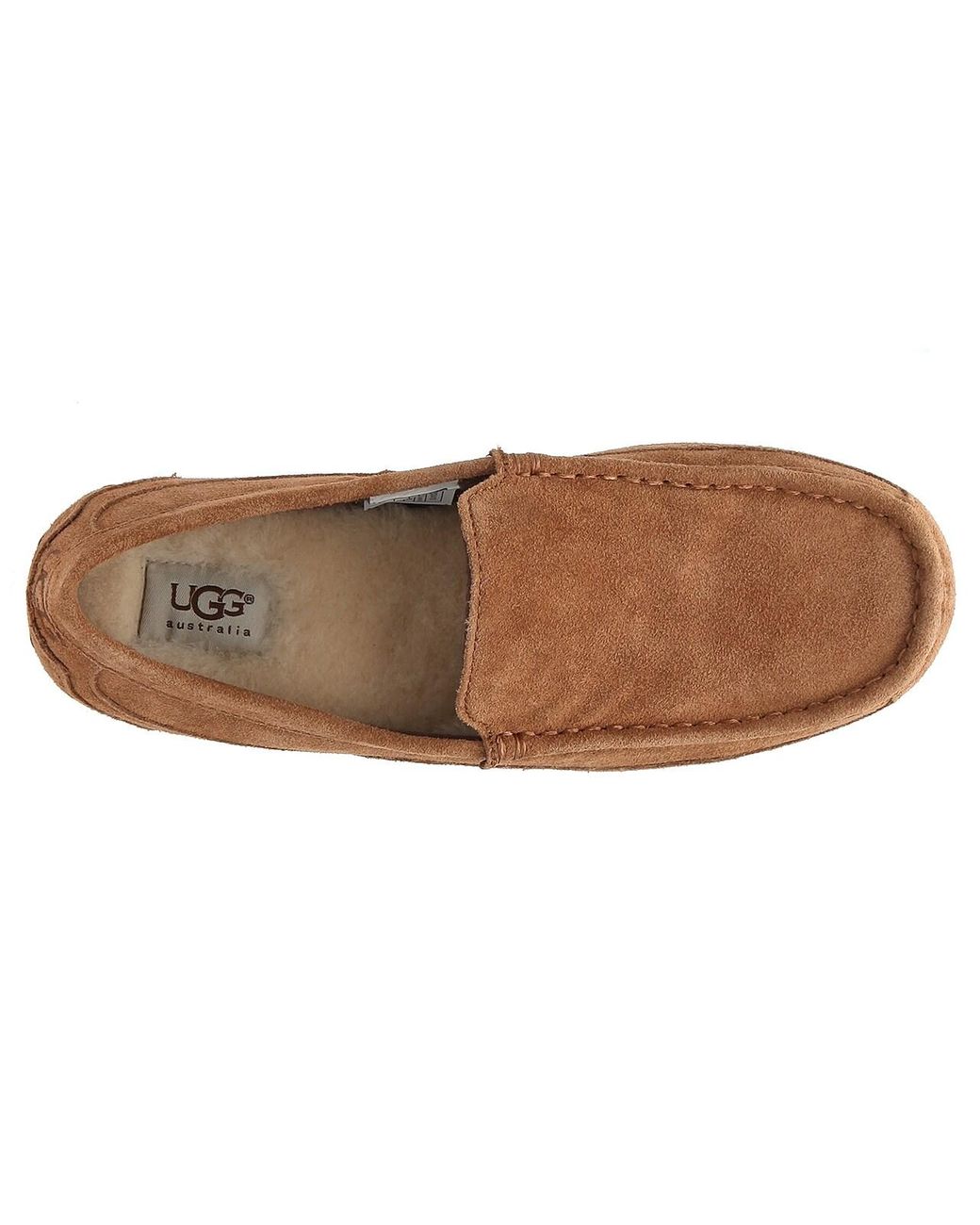 UGG Wool Alder Slip-on in Tan (Brown 