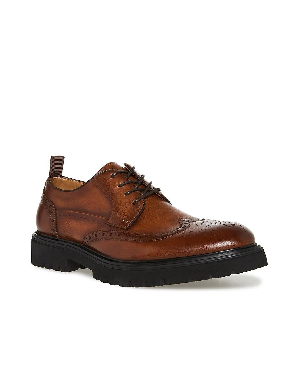 Steve Madden Emeri Wingtip Oxford in Brown for Men Lyst